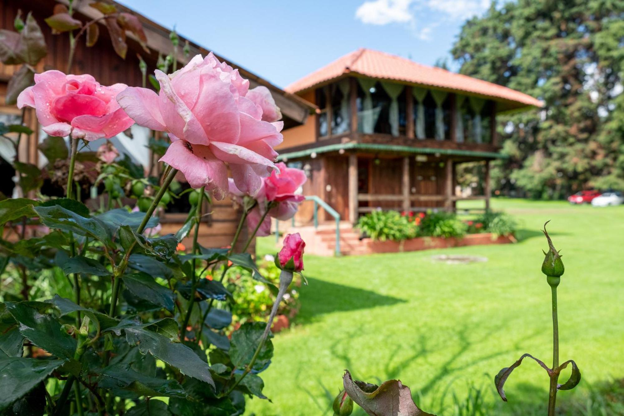 Zirahuen Forest And Resort 外观 照片